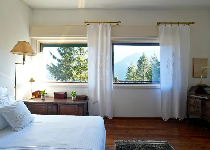 Virginia Villa *