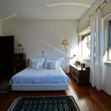 Virginia * Calalzo di Cadore